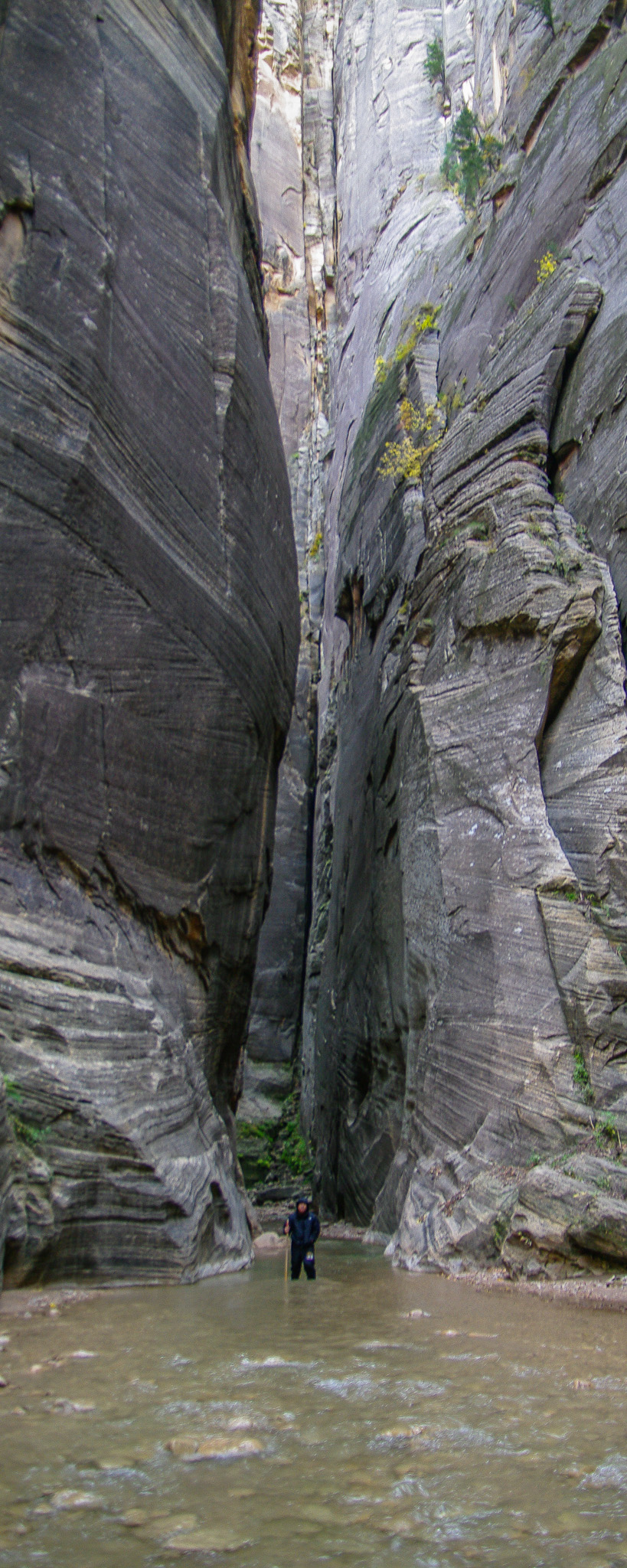 zion narrows